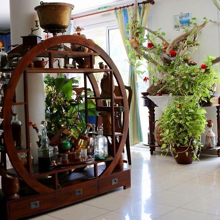 Bed & Breakfast 6 Suites Piscine Et Plage Pointe Faula Le Vauclin Luaran gambar