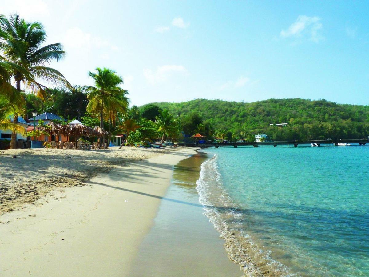 Bed & Breakfast 6 Suites Piscine Et Plage Pointe Faula Le Vauclin Luaran gambar